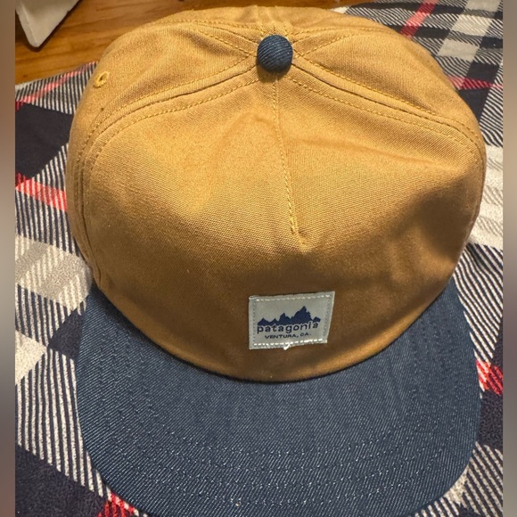 Patagonia Other - Patagonia Tan and Blue Cap Brand New
